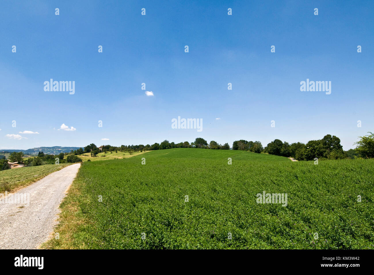 Park der Sassi von Roccamalatina, Guiglia, Emilia Romagna, Italien Stockfoto