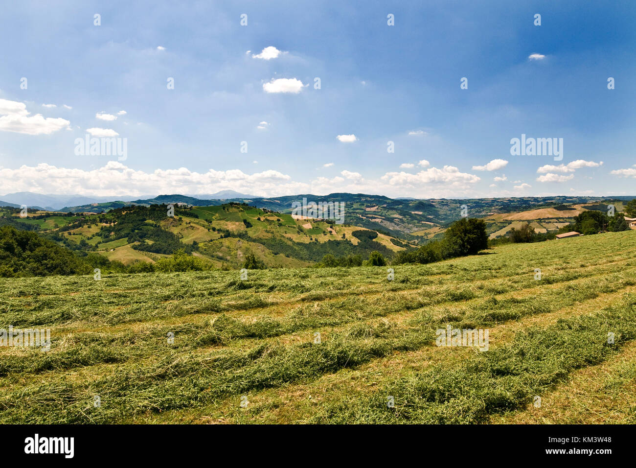 Park der Sassi von Roccamalatina, Guiglia, Emilia Romagna, Italien Stockfoto