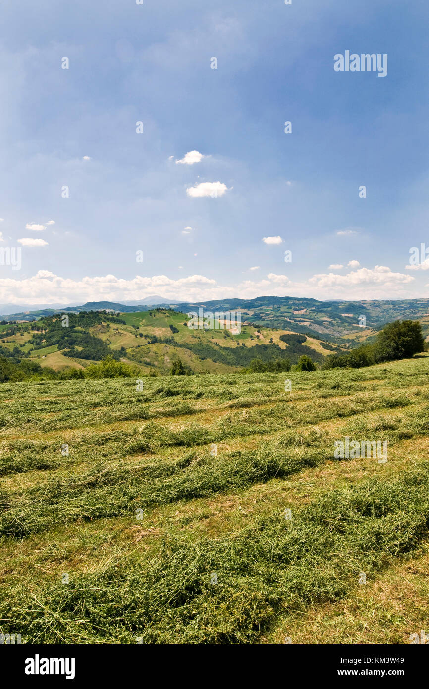 Park der Sassi von Roccamalatina, Guiglia, Emilia Romagna, Italien Stockfoto