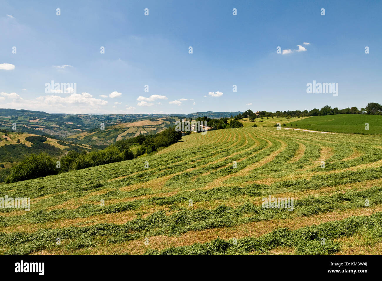 Park der Sassi von Roccamalatina, Guiglia, Emilia Romagna, Italien Stockfoto
