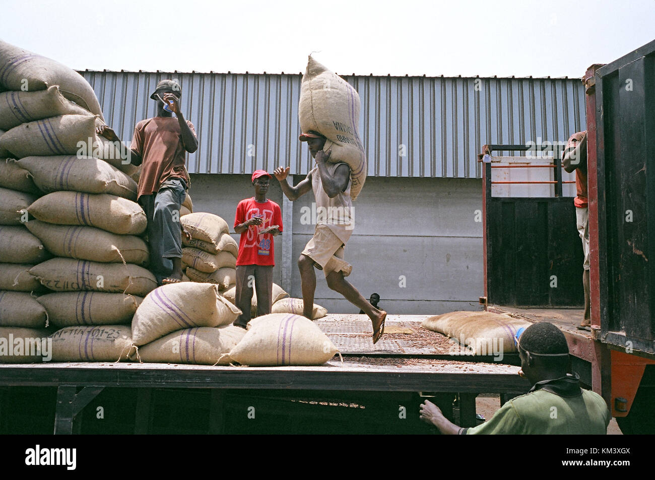 Lagerung und dispatgh von Kakaobohnen, Port takoradi, Ghana, West Afrika, Afrika Lagerung und dispatgh von Kakaobohnen credit © marco Vacca/Sintesi/al Stockfoto