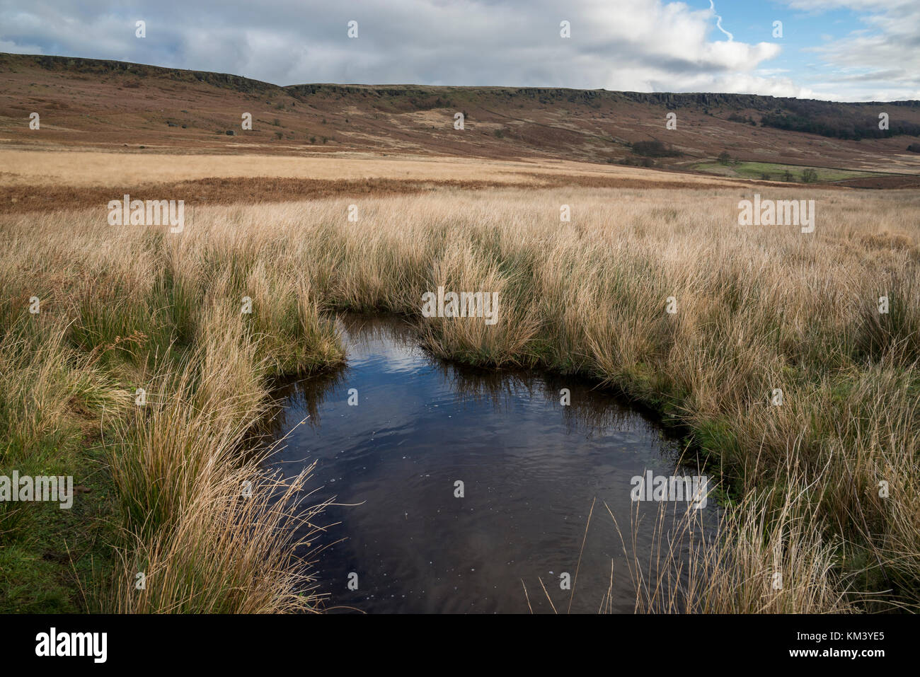 Moorland Pool unten stanage Edge, Peak District, Derbyshire. eine Winterlandschaft mit Gräsern und Schilf. Stockfoto