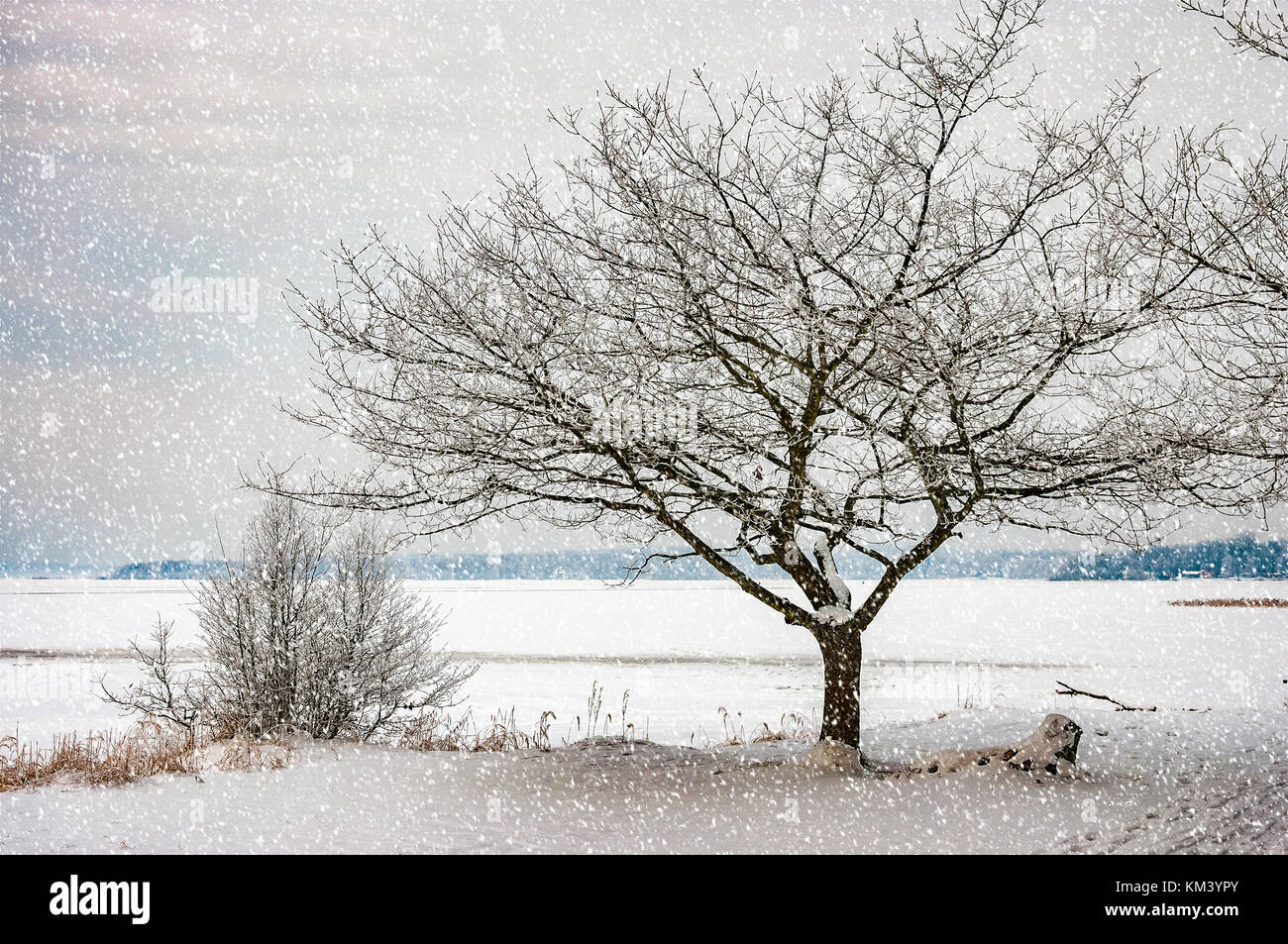 Frisch fallendem Schnee auf dem Boden liegt und sich auf einem zugefrorenen See in der Landschaft ein Wintermärchen. Stockfoto