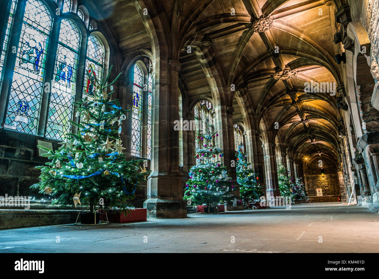 Weihnachtsbäume auf Anzeige an der Kathedrale von Chester, UK. Stockfoto