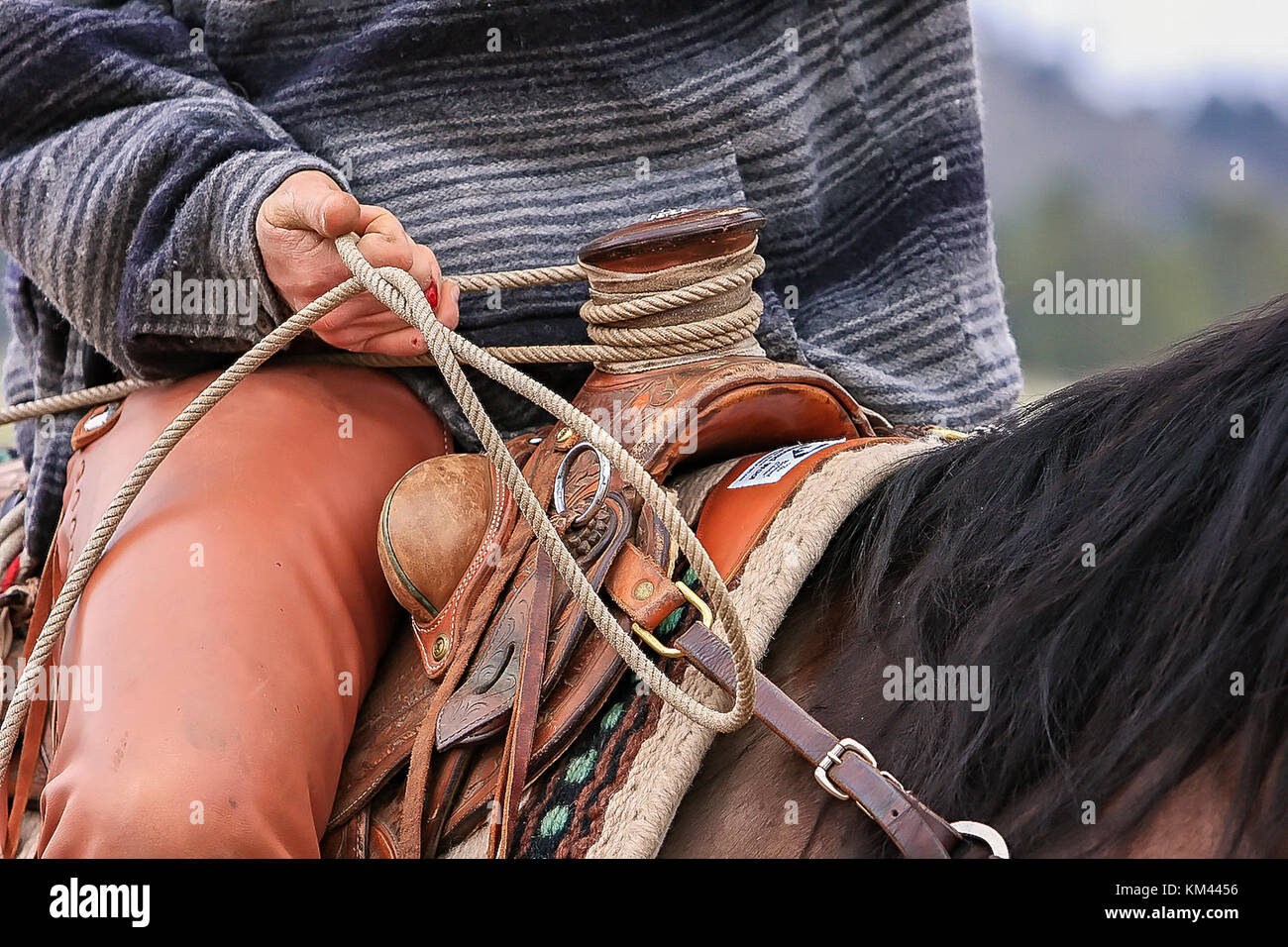 Die Hände eines amerikanischen Cowboy Rinder roping Stockfoto