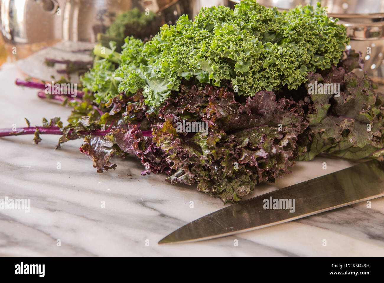 Frische curly Blatt Grünkohl (Brassica oleracea) Stockfoto
