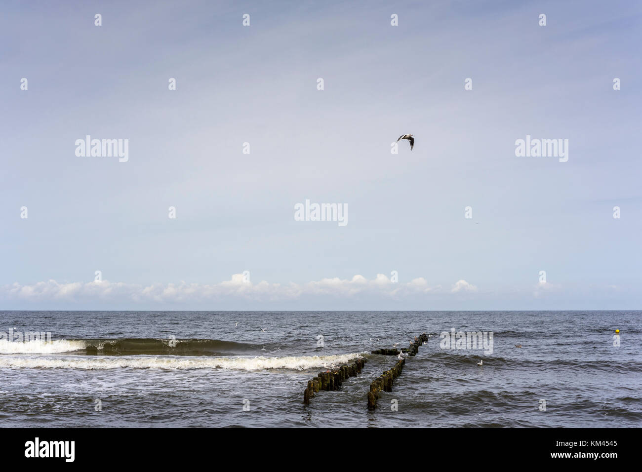 Eine Mole am Strand von Mielno, Polen 2017. Stockfoto
