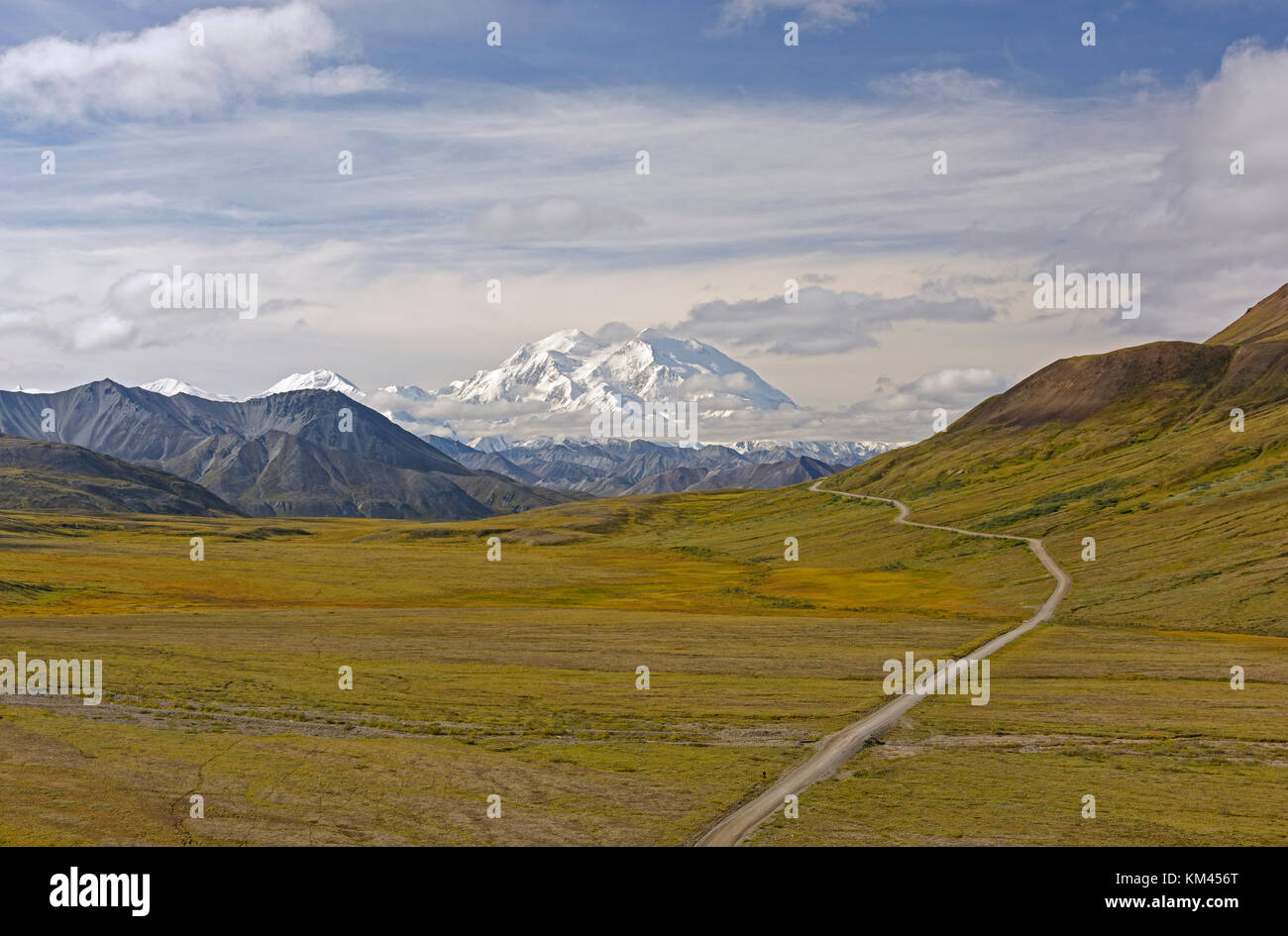 Denali über die Tundra im Denali Nationalpark in Alaska gesehen Stockfoto