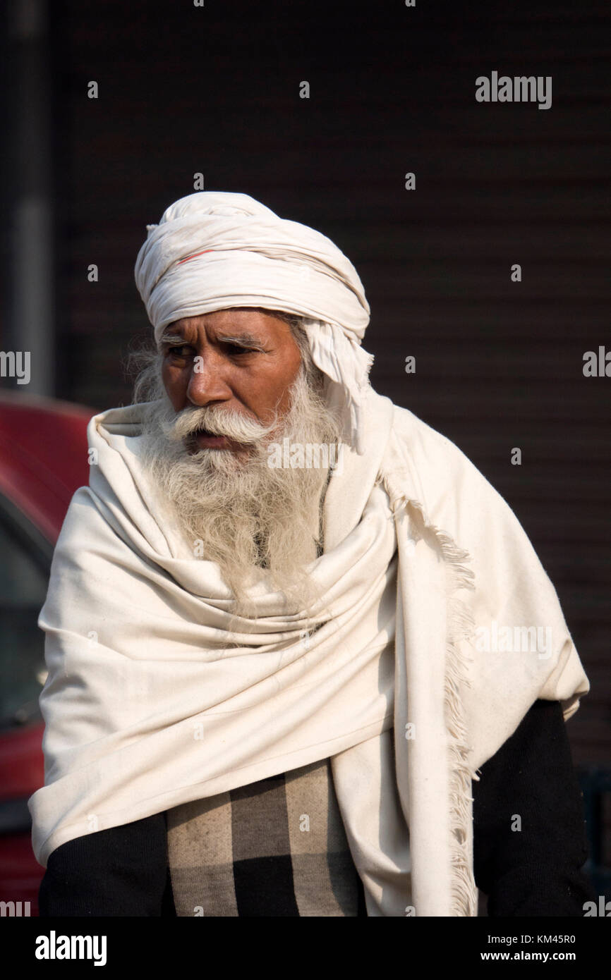 Portrait von alten Punjabi sikh Mann mit langem weißen Bart Stockfoto