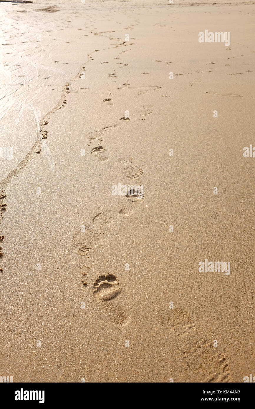 Spuren im Sand - St Ives Cornwall Großbritannien Stockfoto
