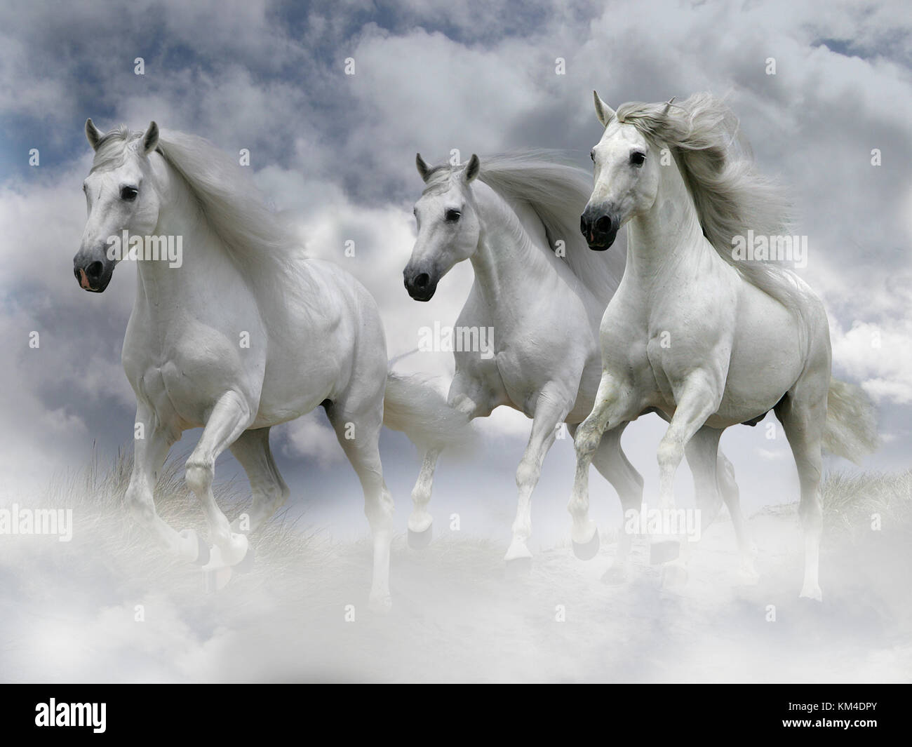 кто поет песню белые кони кони белые. три белых коня декабрь январь и февраль. тройка лошадей из фильма чародеи. белая лошадь. белые лошади песня.