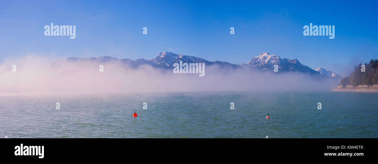 Morgenstimmung am Forggensee, bei Füssen, Ostallgäu, Allgaeu, dahinter Tegelberg, 1881 m und Saeuling, 2047 m, Ammergauer Alpen, Bayern, Deutschland, Stockfoto