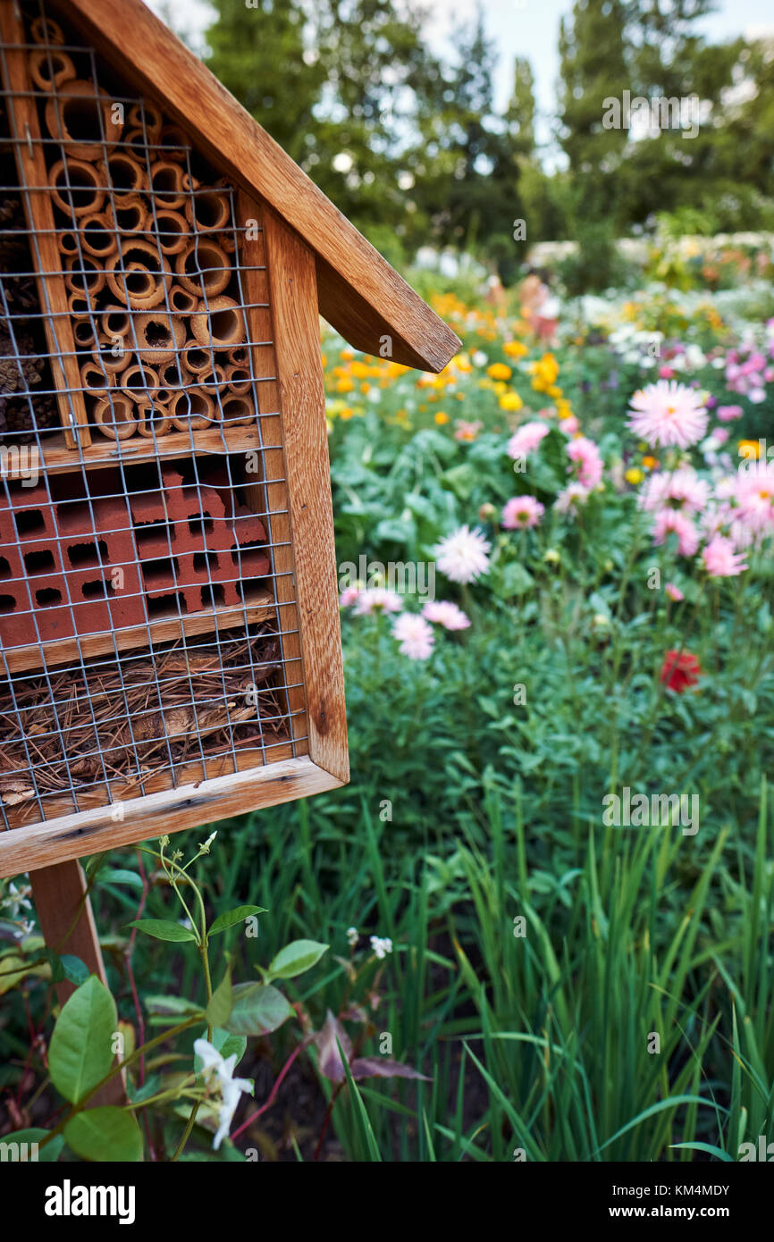 Ein Insekt Hotel, geeignet für eine Vielzahl von Insekten zu Nest oder Hibernate in einem Wildlife freundlich Garten, durch Pollen produzieren Blumen umgeben. Stockfoto