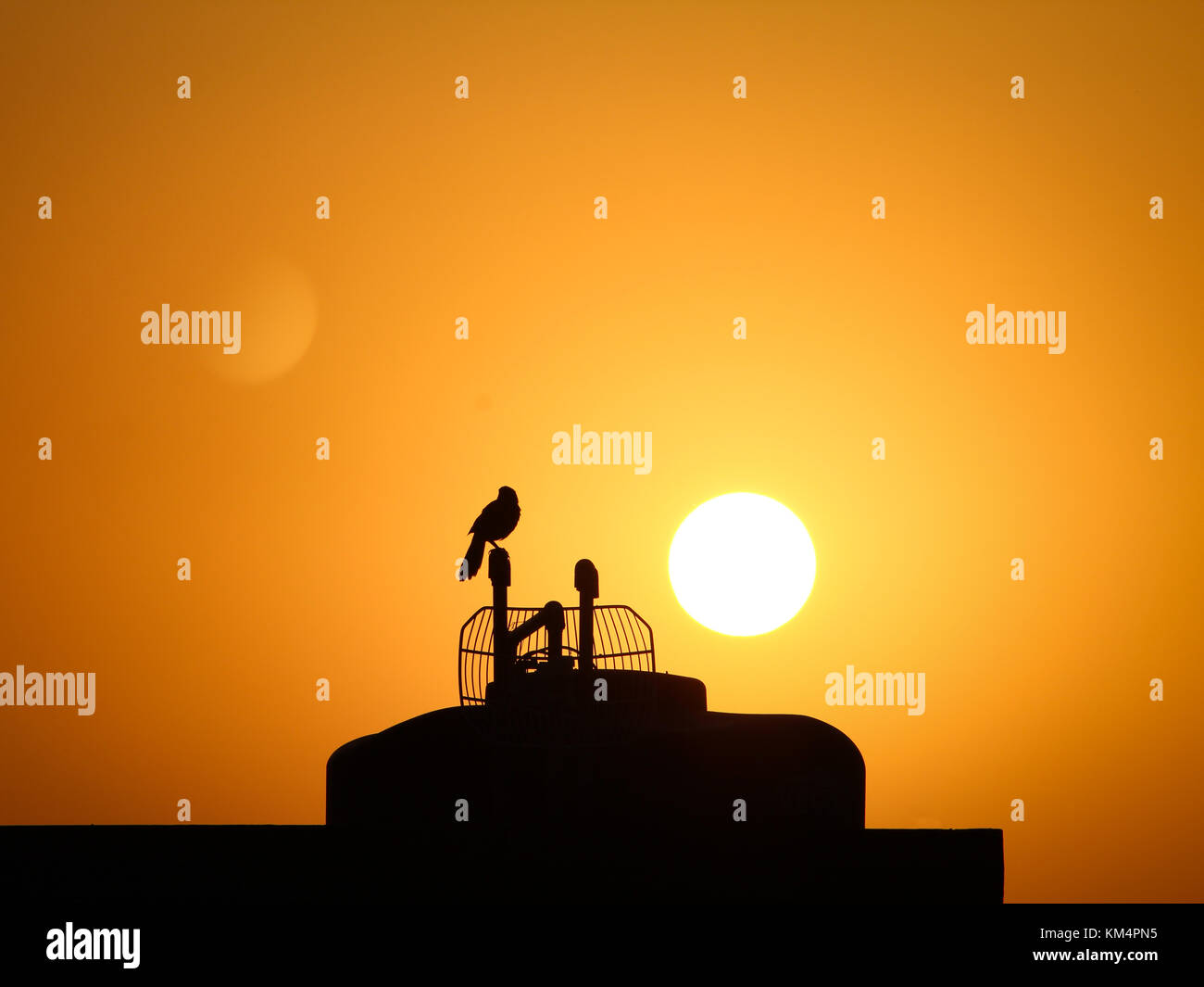 Den Himmel berühren Stockfoto