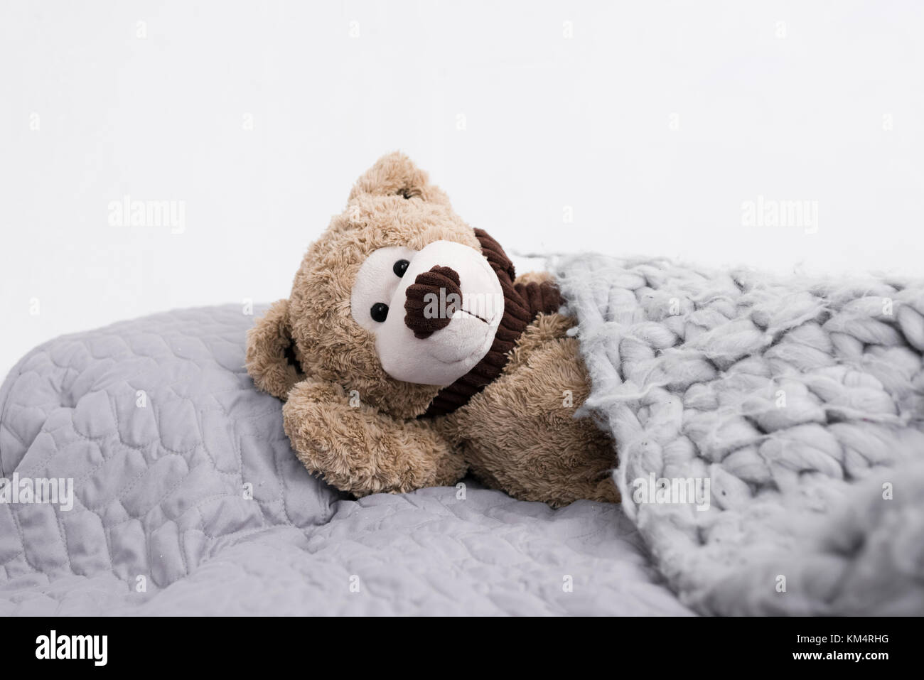 Teddy Bär im Bett Stockfoto