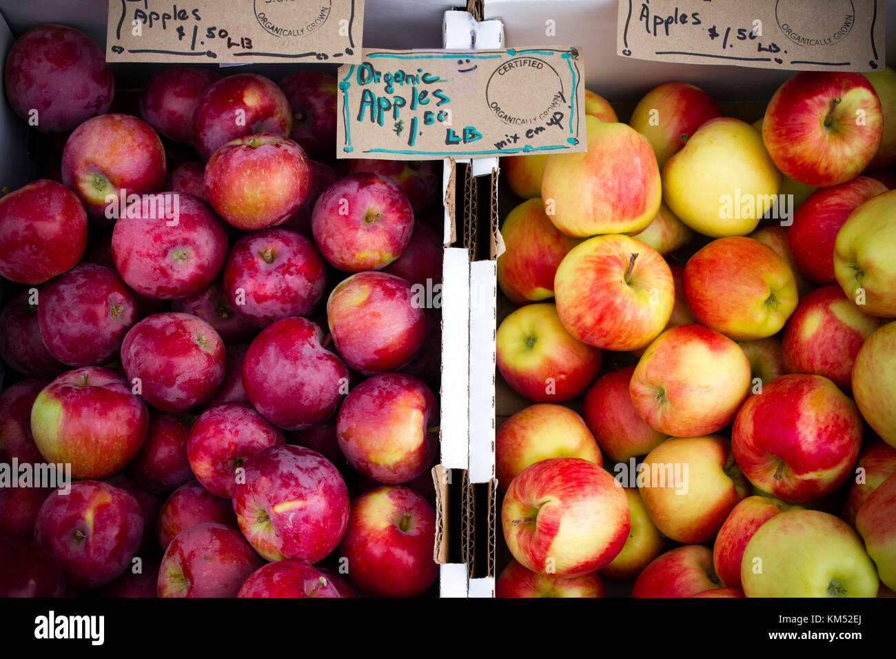 Frische reife organische Äpfel auf dem Wochenende Landwirt in Penticton, British Columbia, Kanada. dem Bauernmarkt verkauft frische Produkte von lokalen oder Stockfoto