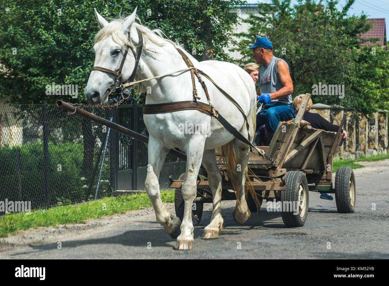 Pferdewagen auf der Straße des ukrainischen Dorfes Stockfoto