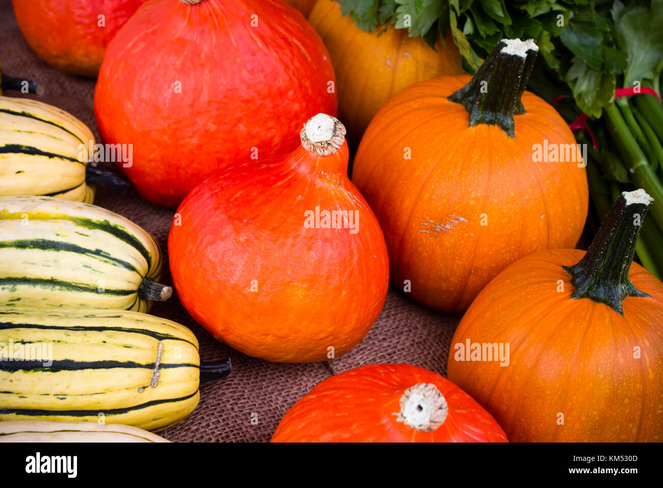 Frische reife organische Winter Squash auf dem Wochenende Landwirt in Penticton, British Columbia, Kanada. dem Bauernmarkt verkauft frische Produkte aus l Stockfoto