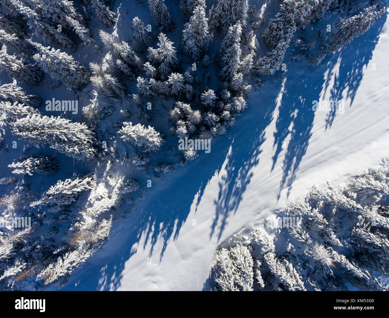 Bäume mit Schnee bedeckt - Luftaufnahme über den Wald Stockfoto