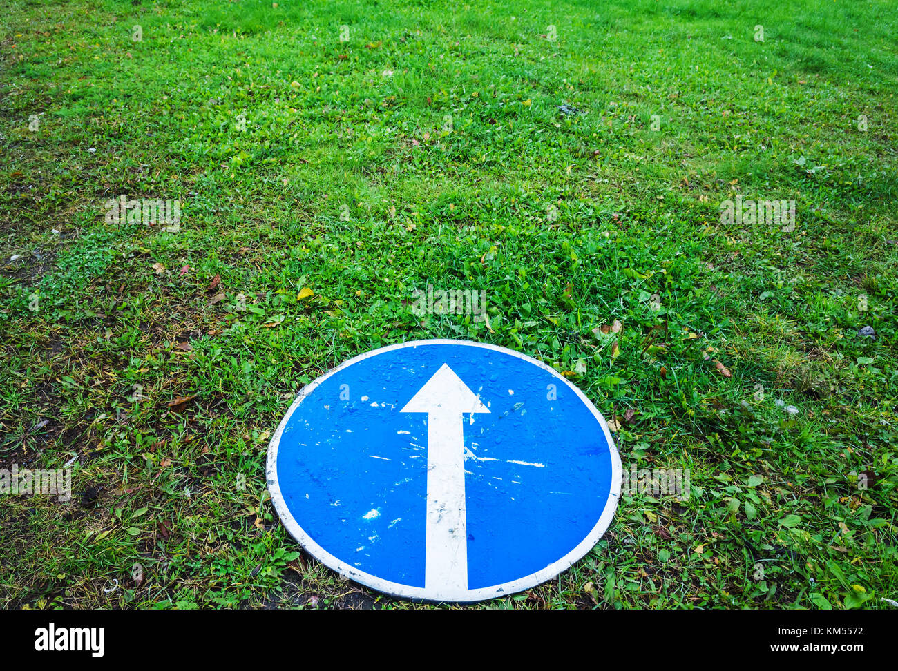 Vor nur, rundes blaues Schild mit weißem Pfeil legt auf frische grüne Gras Stockfoto