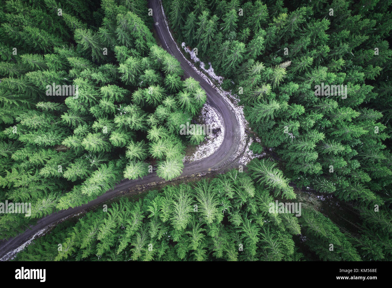 Leere Straße in einem Wald von einer Drohne Stockfoto
