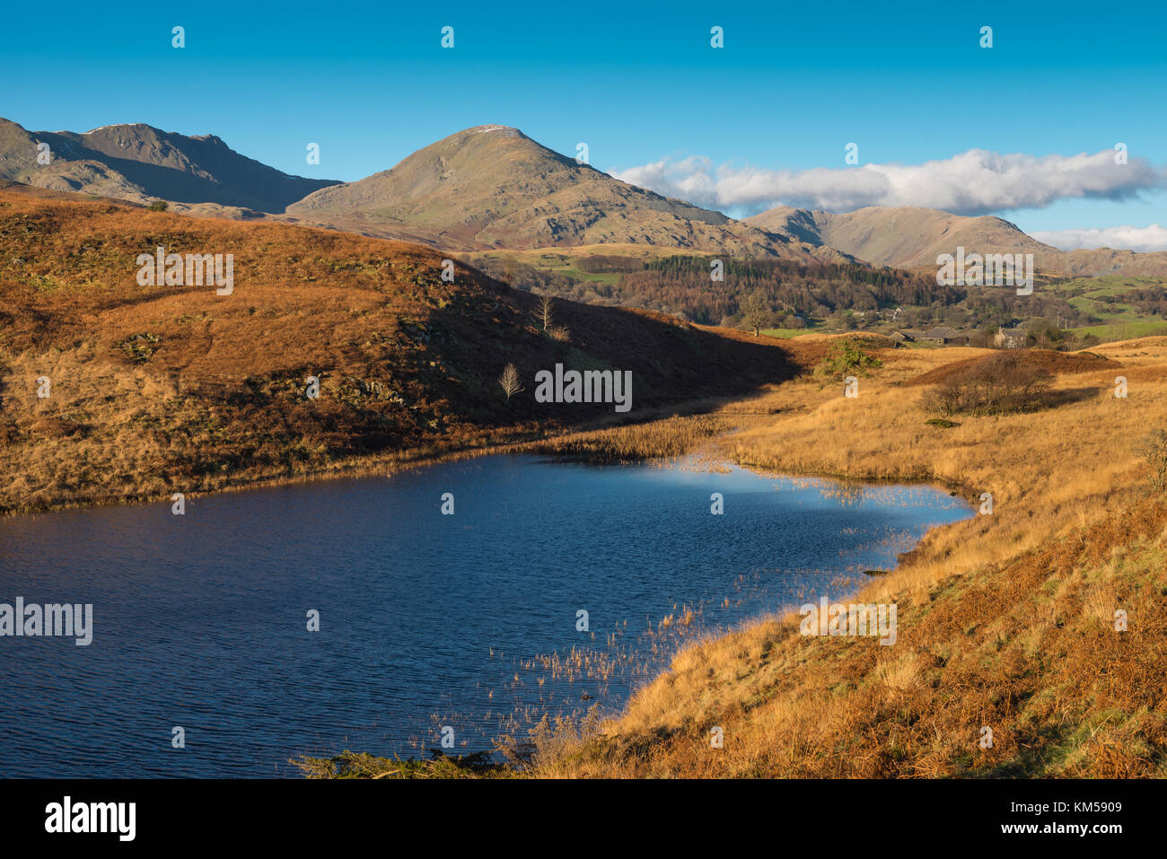 Torver Common in der Nähe von Coniston Cumbria Stockfoto