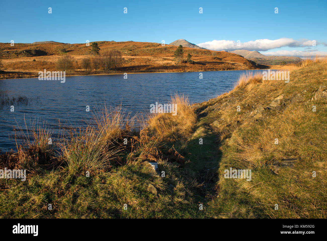 Torver gemeinsamen in der Nähe von Coniston Cumbria Stockfoto