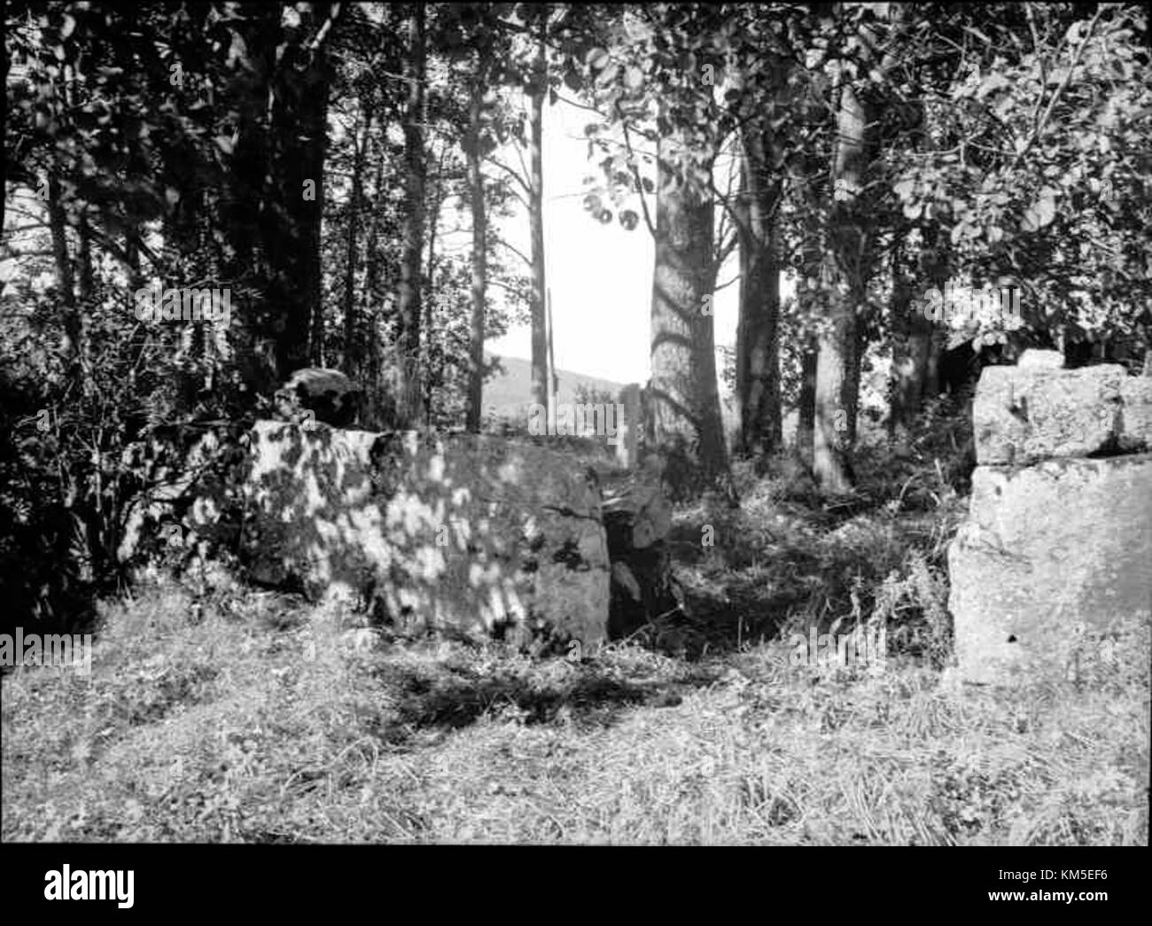 Die Ruine der Hassela-Kirche, die sich im schwedischen Landkreis Gävleborg befindet, ist im Register des schwedischen Nationaldenkmalamtes unter der ID 16000200037240 dokumentiert, was ihre historische und archäologische Bedeutung widerspiegelt. Stockfoto