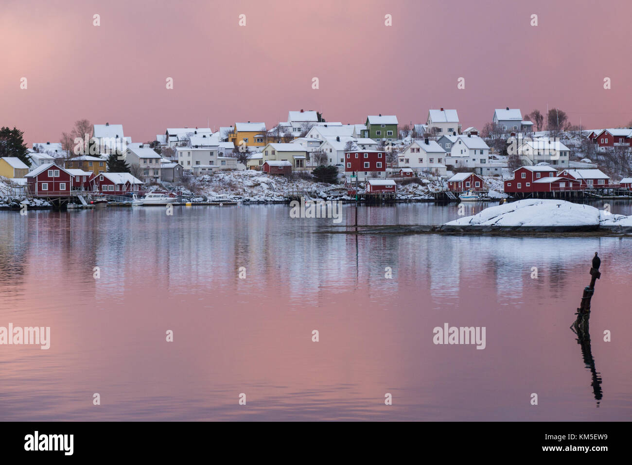 Die atemberaubende Stadt reine mit einem Kormoran anschauen, Lofoten, Norwegen. Stockfoto