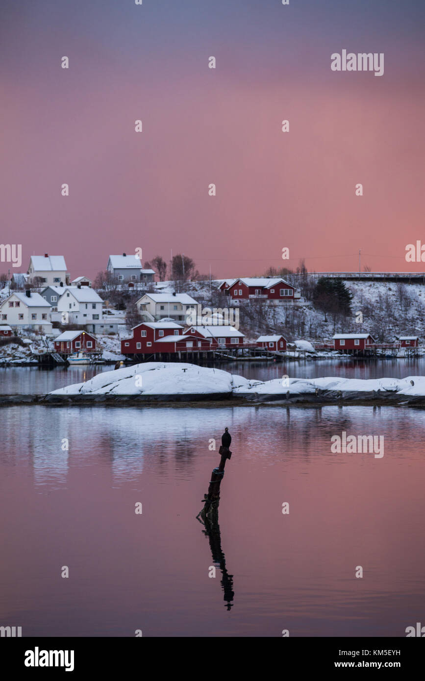 Die atemberaubende Stadt reine mit einem Kormoran anschauen, Lofoten, Norwegen. Stockfoto