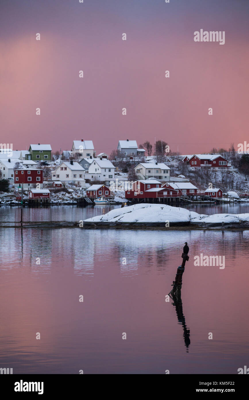 Die atemberaubende Stadt reine mit einem Kormoran anschauen, Lofoten, Norwegen. Stockfoto