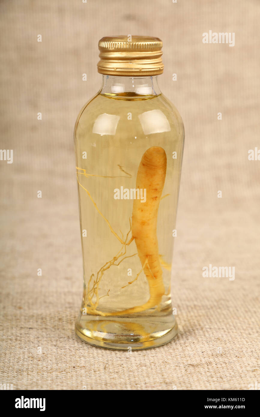 Nahaufnahme einer Glas Flasche Ginseng Wurzel Essenz Extraktion Likör mit goldenen Kappe über Hintergrund der braune Jute Leinwand, Low Angle Seitenansicht Stockfoto