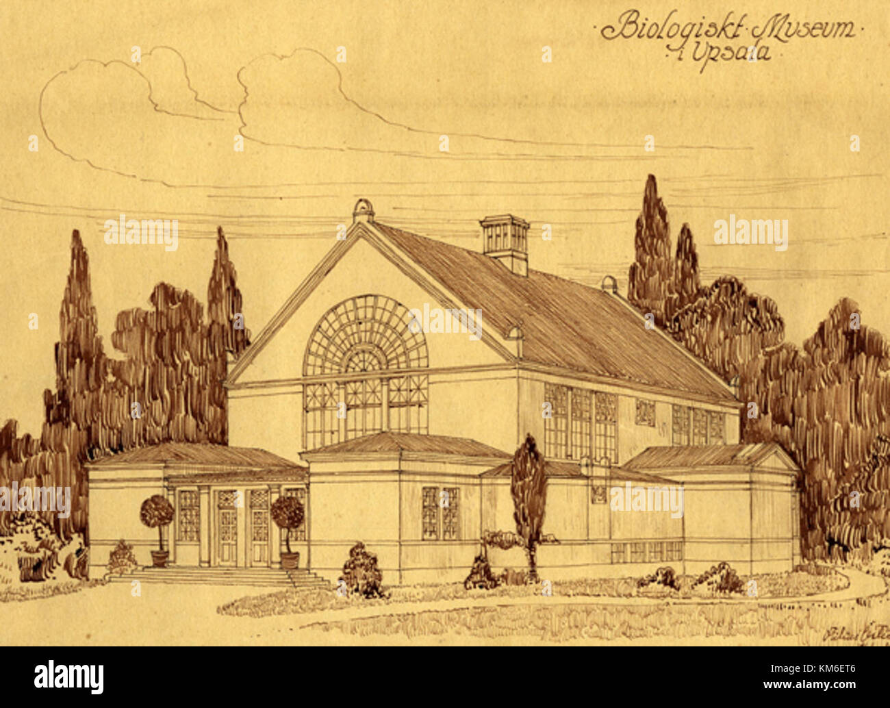 Skiss Biologiska Stor ist ein Begriff, der verwendet wird, um eine biologische Skizze oder ein Diagramm zu beschreiben, die die Struktur lebender Organismen veranschaulicht. Es wird häufig in pädagogischen und wissenschaftlichen Zusammenhängen verwendet, um biologische Konzepte zu erklären. Stockfoto