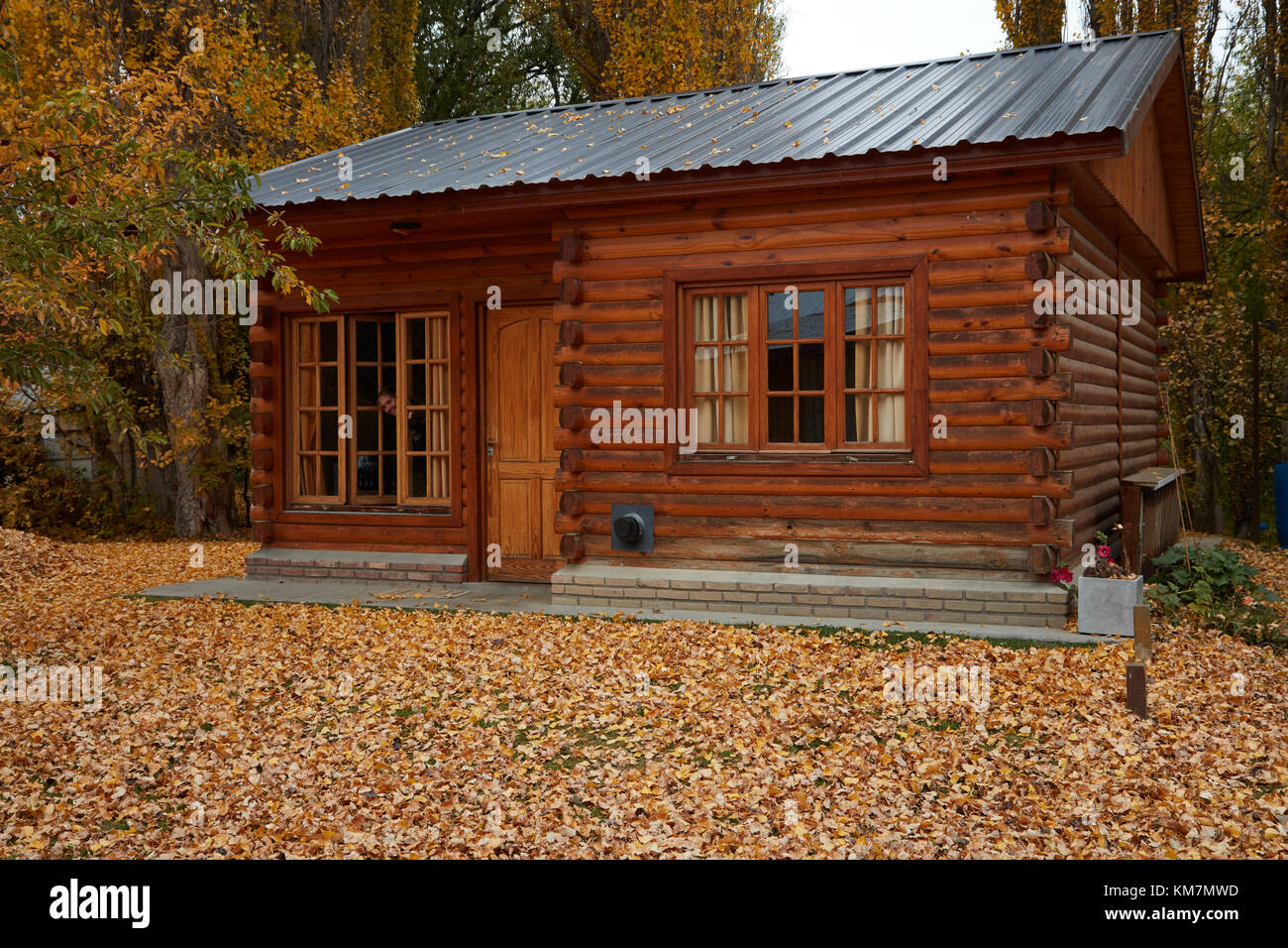 Blockhaus und Herbstlaub, El Calafate, Patagonien, Argentinien, Südamerika Stockfoto