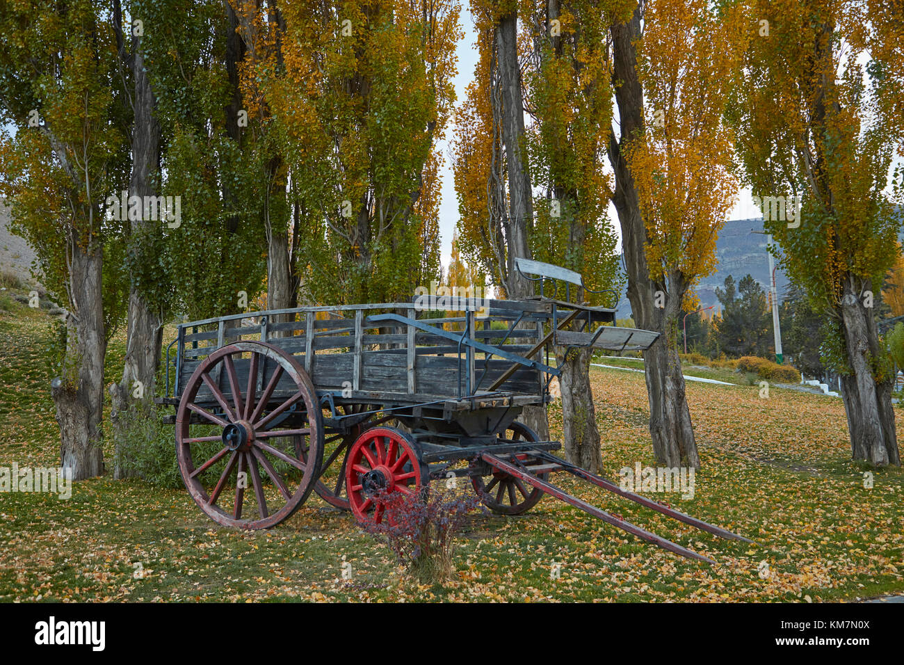 Pappeln und alten Wagen, El Calafate, Patagonien, Argentinien, Südamerika Stockfoto