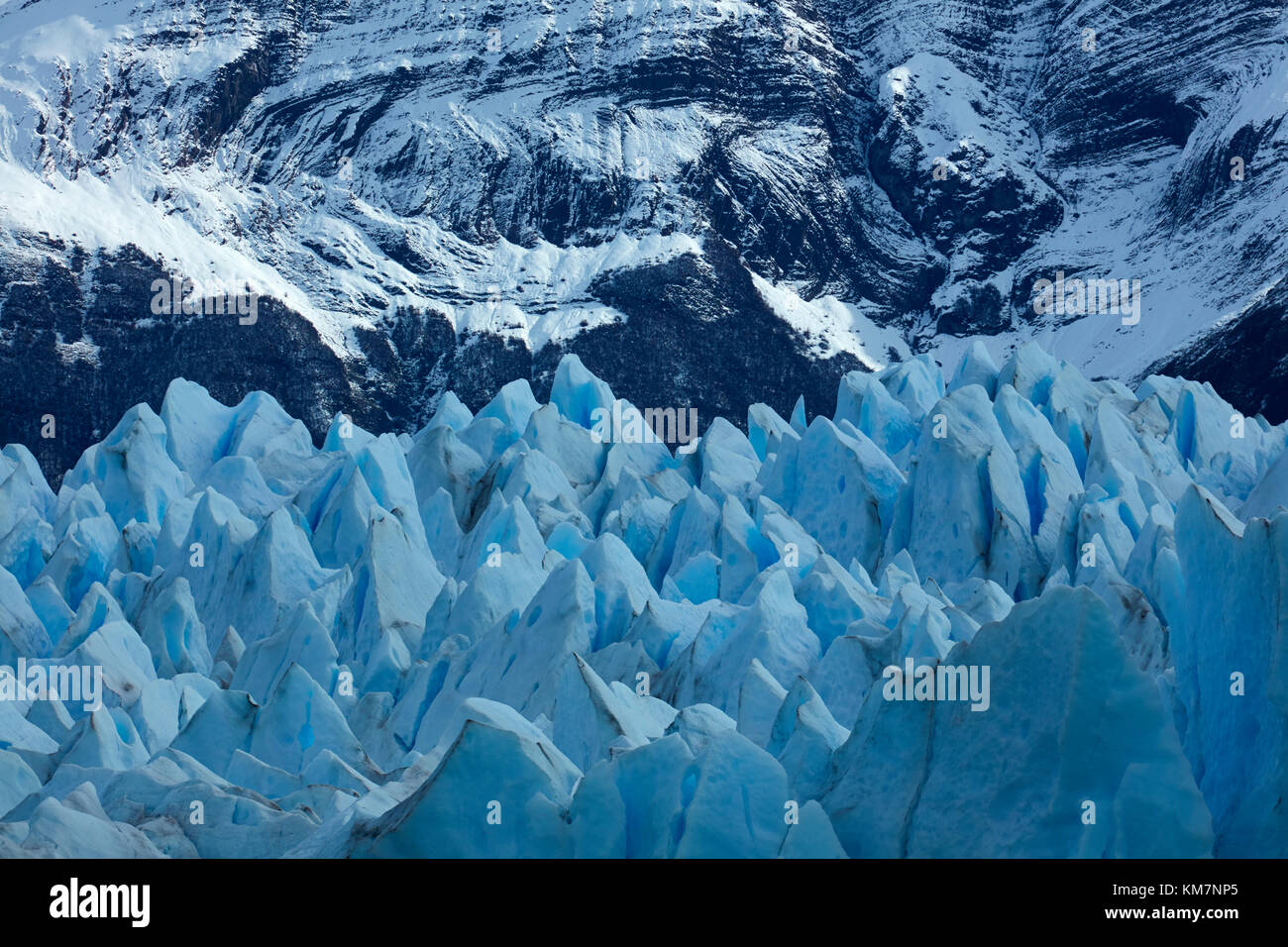 Terminal Gesicht des Gletschers Perito Moreno, Parque Nacional Los Glaciares (World Heritage Area), Patagonien, Argentinien, Südamerika Stockfoto