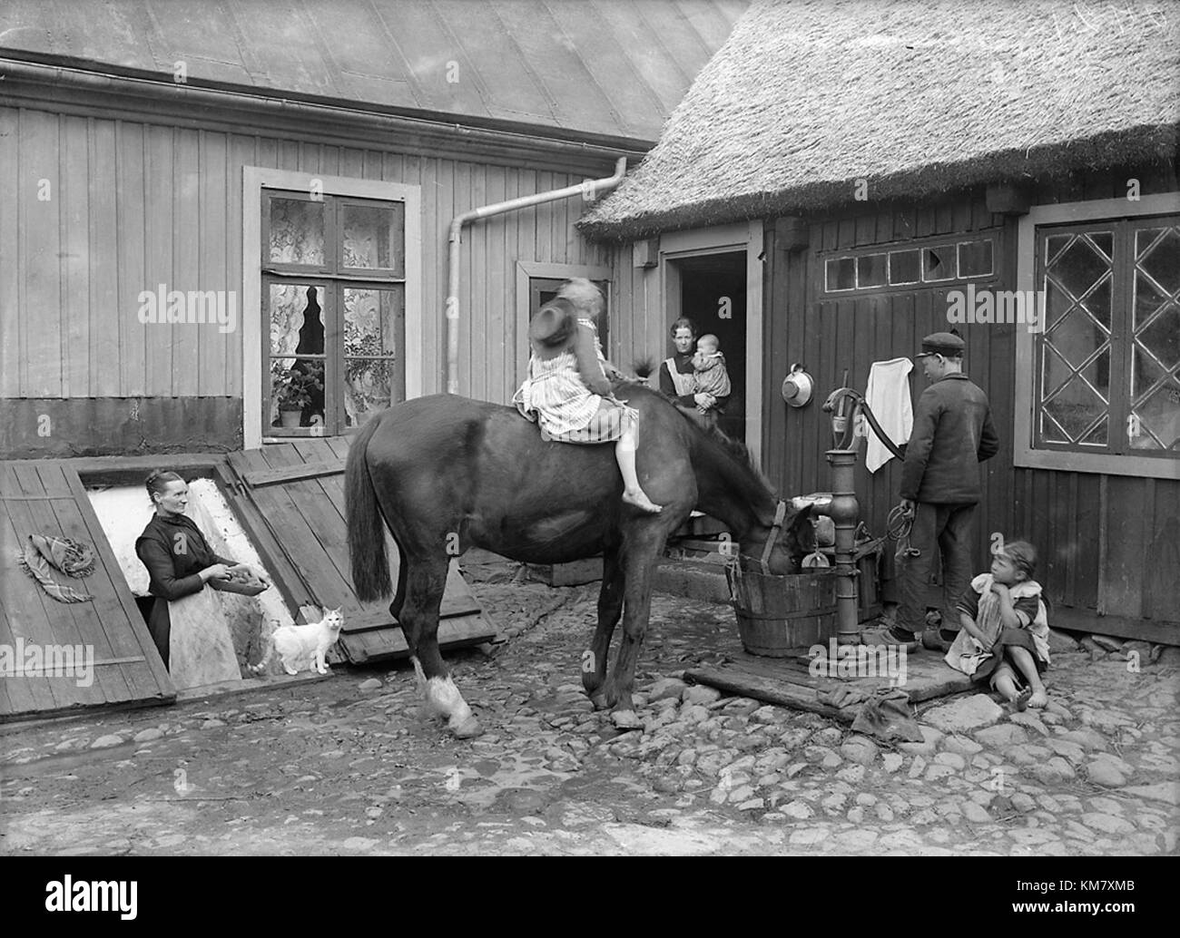 Menschen und Tiere in einem Hof in Südschweden (10207279136) Stockfoto