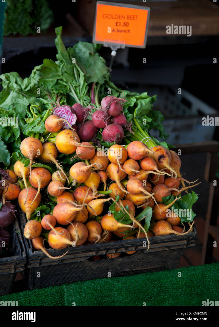 Ein Haufen von goldenen und roten Rüben choggias auf einem auf dem preisgekrönten Farmers Market in Stroud, Gloucestershire, Großbritannien Stockfoto