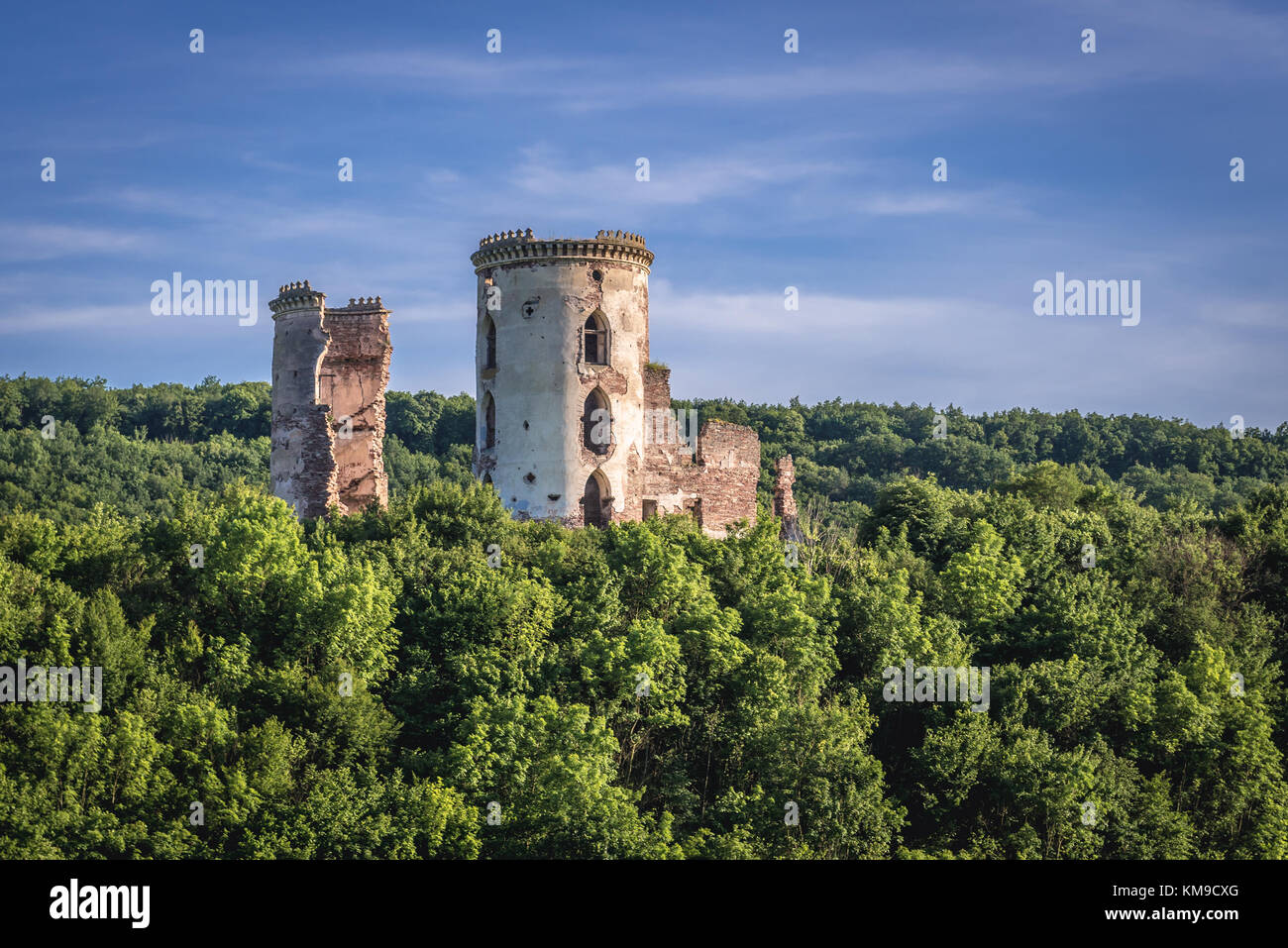 Ruinen der polnischen Burg in der ehemaligen Stadt Chervonohorod (auch Chervone genannt) im Bezirk Zalischyky, Ternopil Oblast der westlichen Ukraine Stockfoto