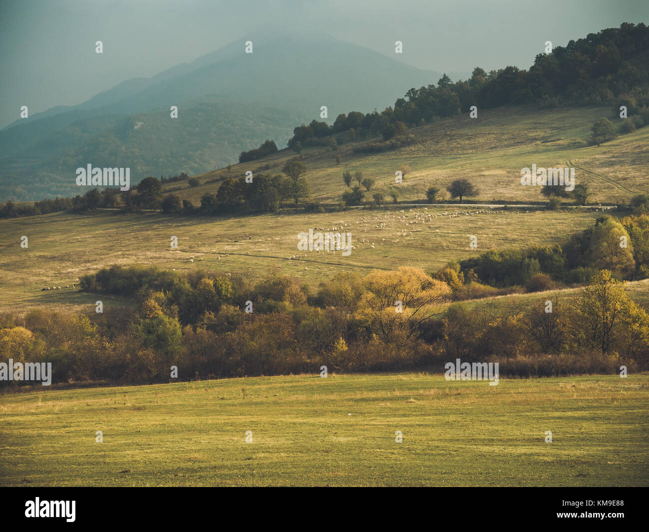 Ländliche Landschaft, Montana, Bulgarien Stockfoto