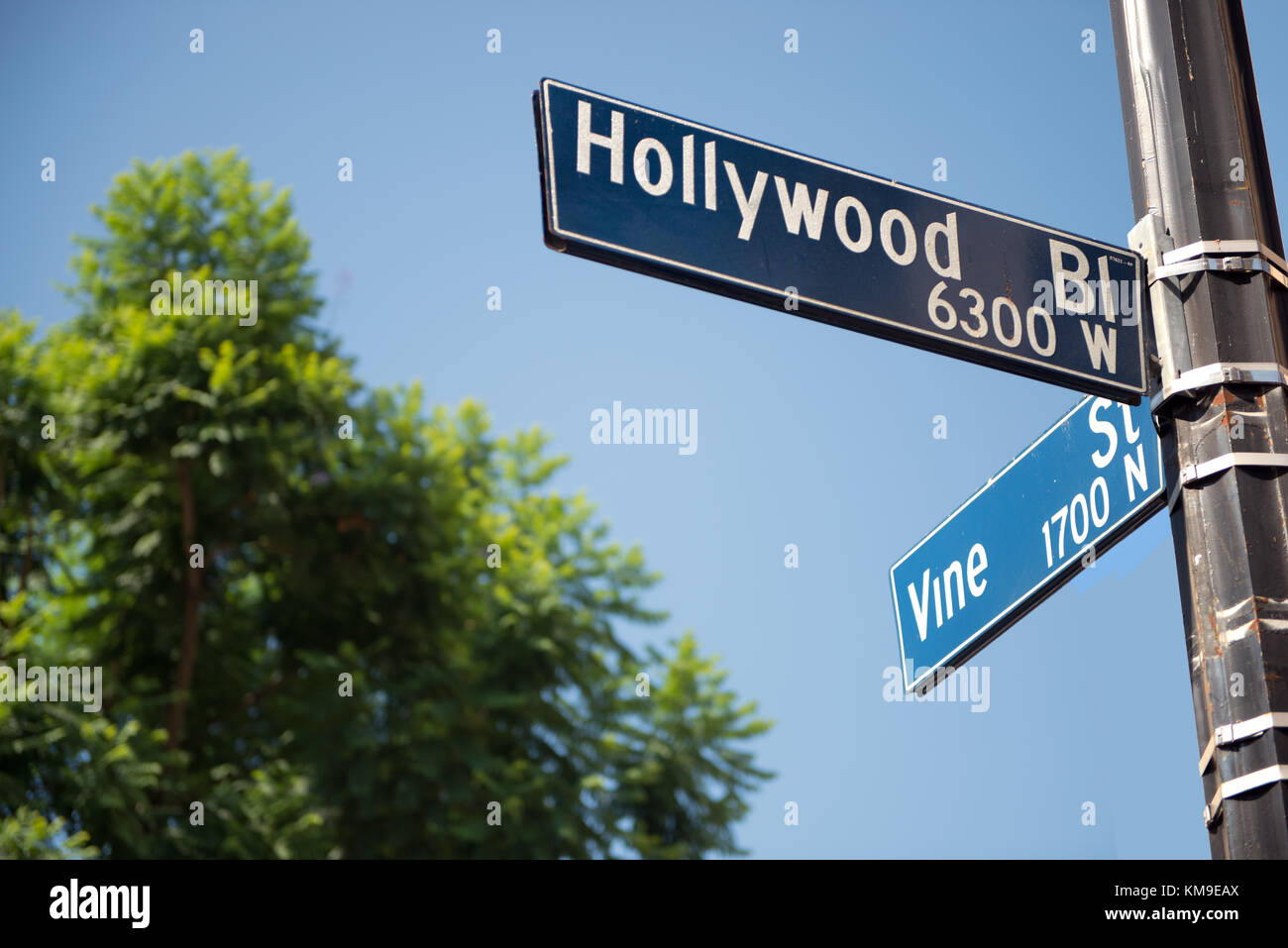 Straßenschilder am Hollywood Boulevard und der Vine Street, Hollywood, California, USA Stockfoto