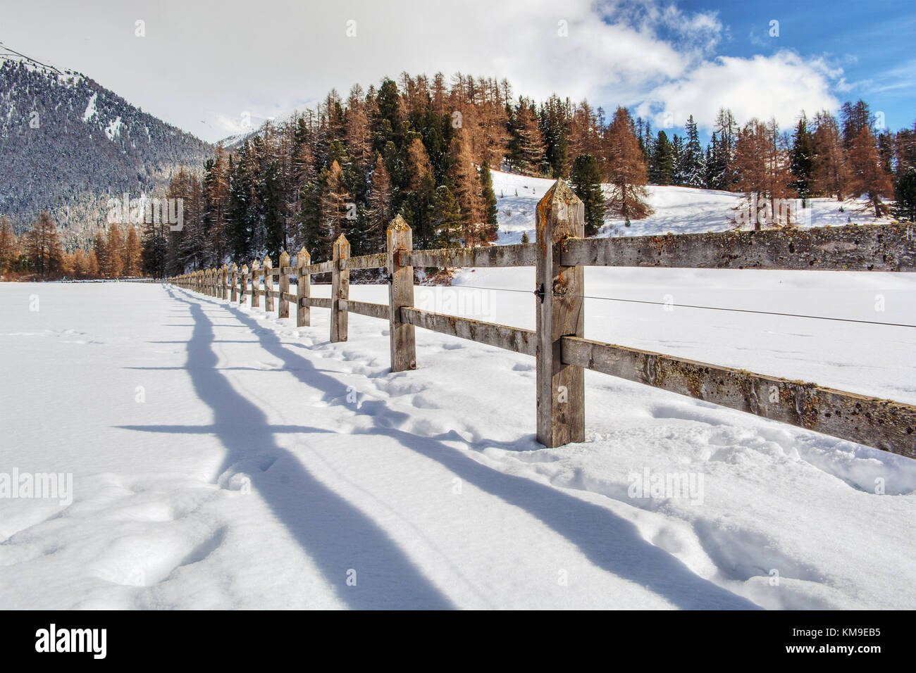 Ländliche Winterlandschaft, Celerina, Graubünden, Schweiz Stockfoto