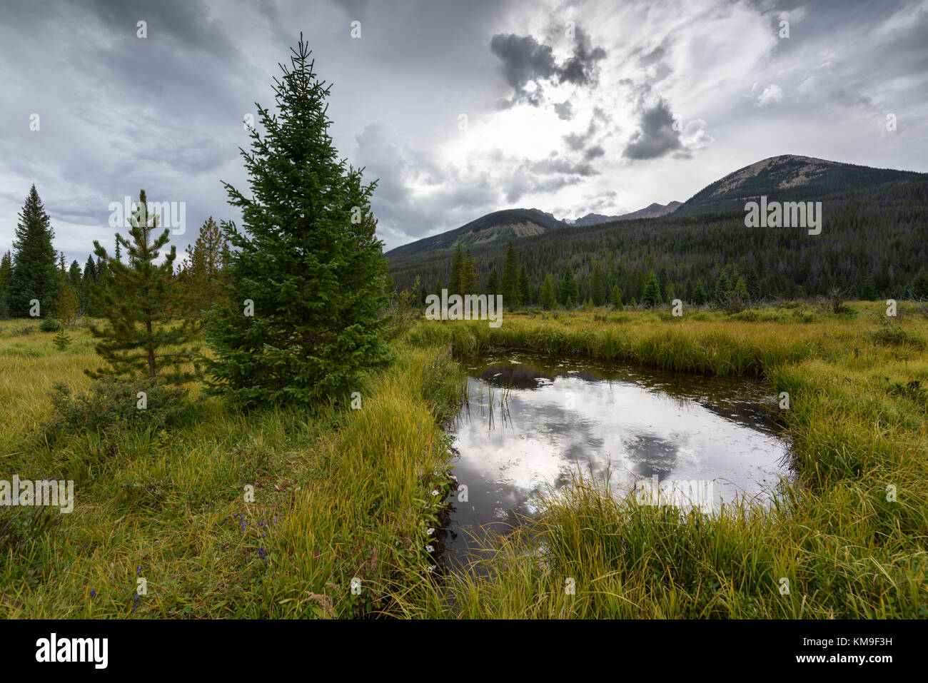 Kawuneeche Valley, Rocky Mountain National Park, Grand Lake, Colorado, Usa Stockfoto