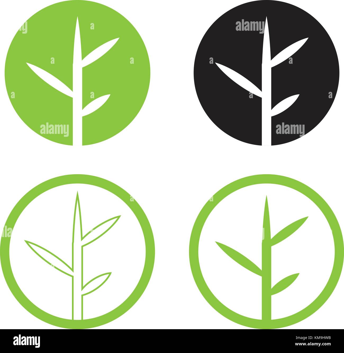 Lassen Logo Design Vektor einrichten. Natur-Logo im Kreis. Bambus logo mit grünen und isoliert weißer Hintergrund Stock Vektor