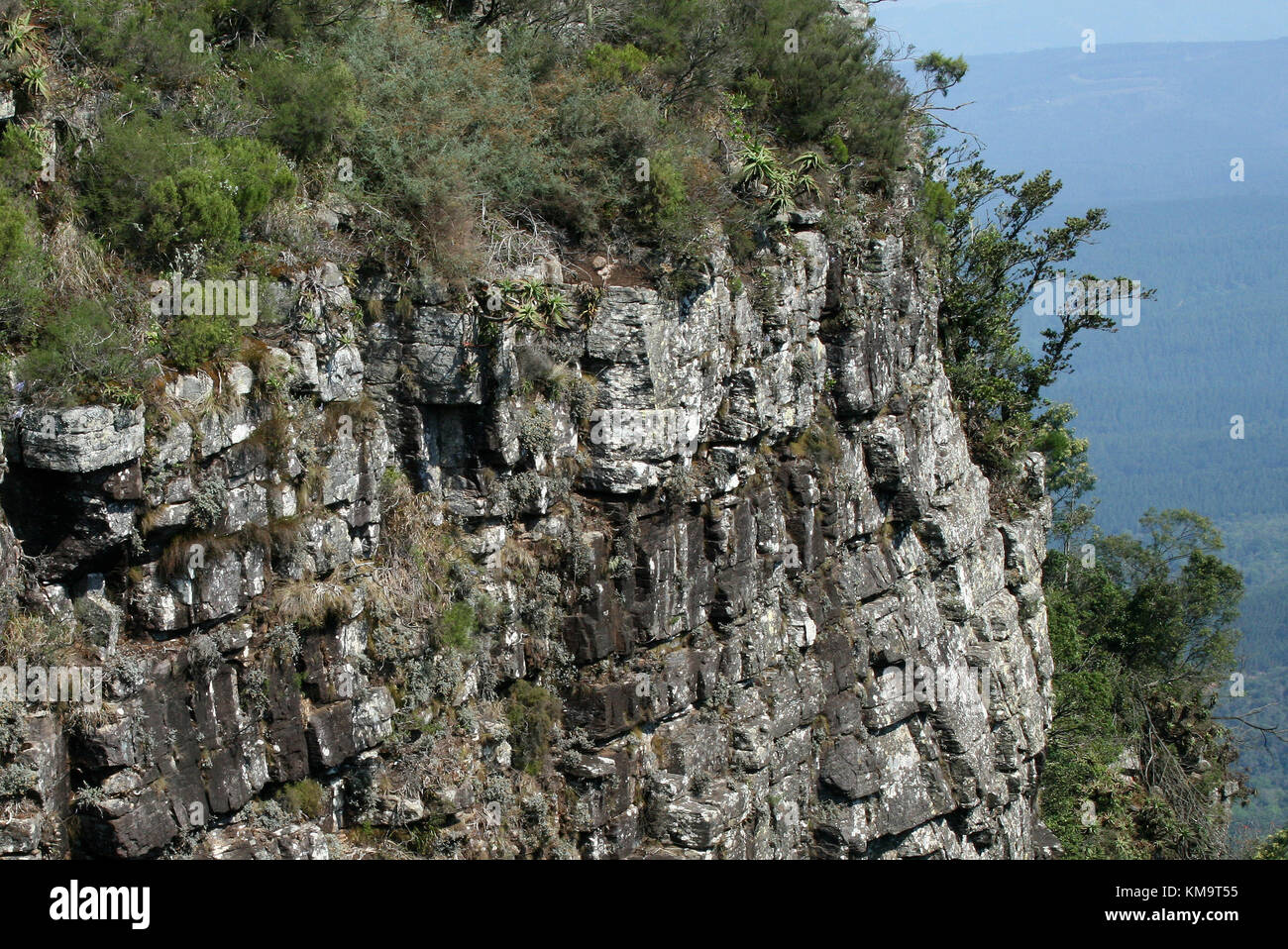 Mpumalanga, Südafrika, Nahaufnahme von einer steilen Felswand an Gottes Fenster Stockfoto