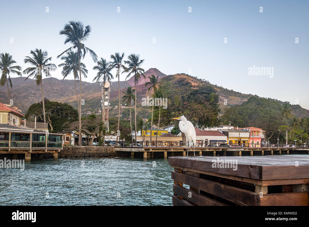 Silberreiher und Vila (Dorf) Skyline in ilhabela - ilhabela, Sao Paulo, Brasilien Stockfoto