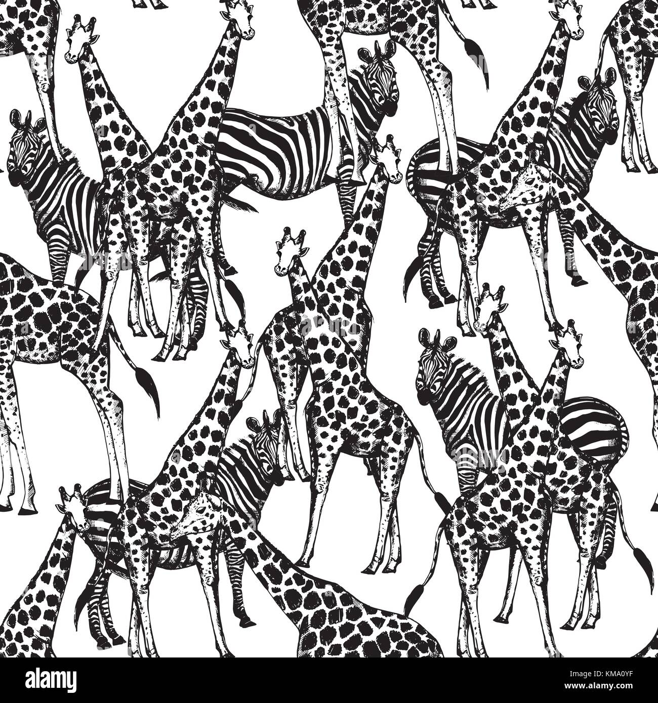 Die nahtlose Vektor Muster von Hand gezeichnete Skizze stil Giraffen und Zebras. Stock Vektor