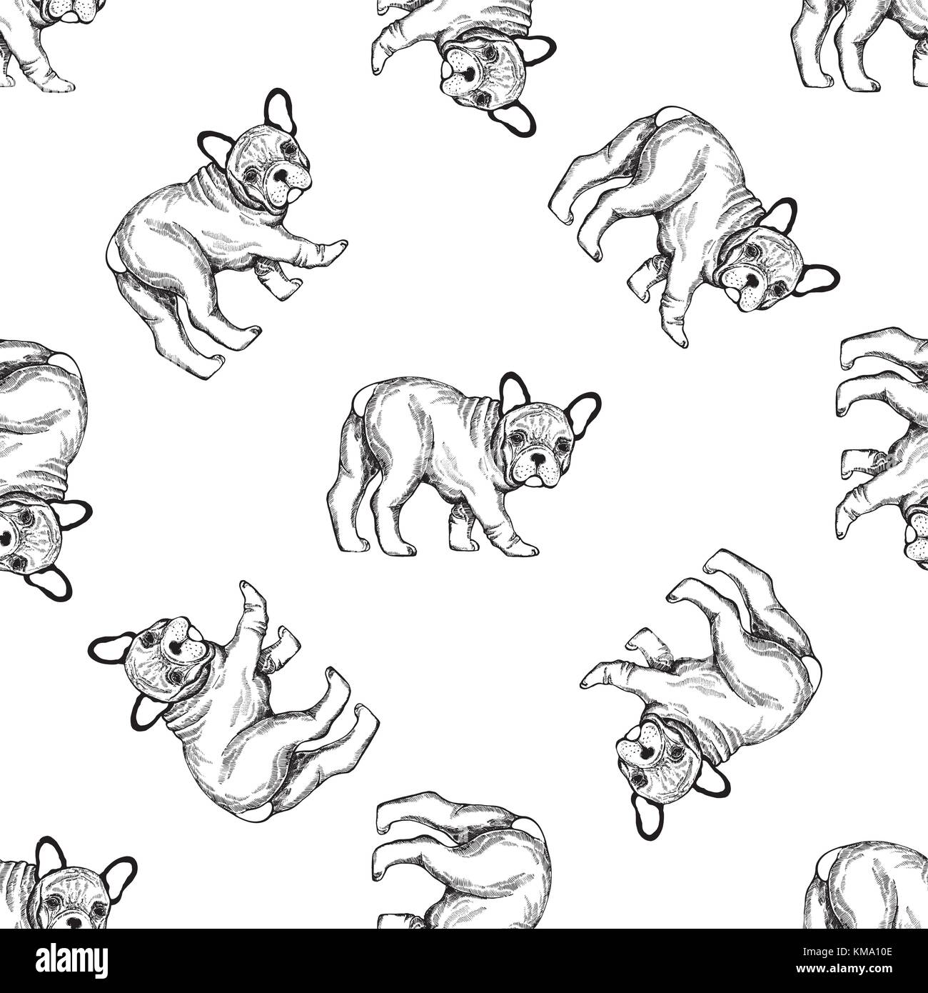 Nahtlose Muster von Hand gezeichnete Skizze stil Bulldoggen. Vector Illustration auf weißem Hintergrund. Stock Vektor
