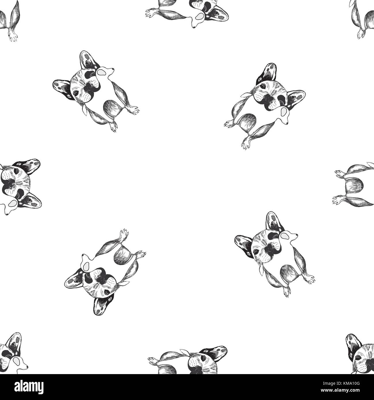 Nahtlose Muster von Hand gezeichnete Skizze stil Bulldoggen. Vector Illustration auf weißem Hintergrund. Stock Vektor