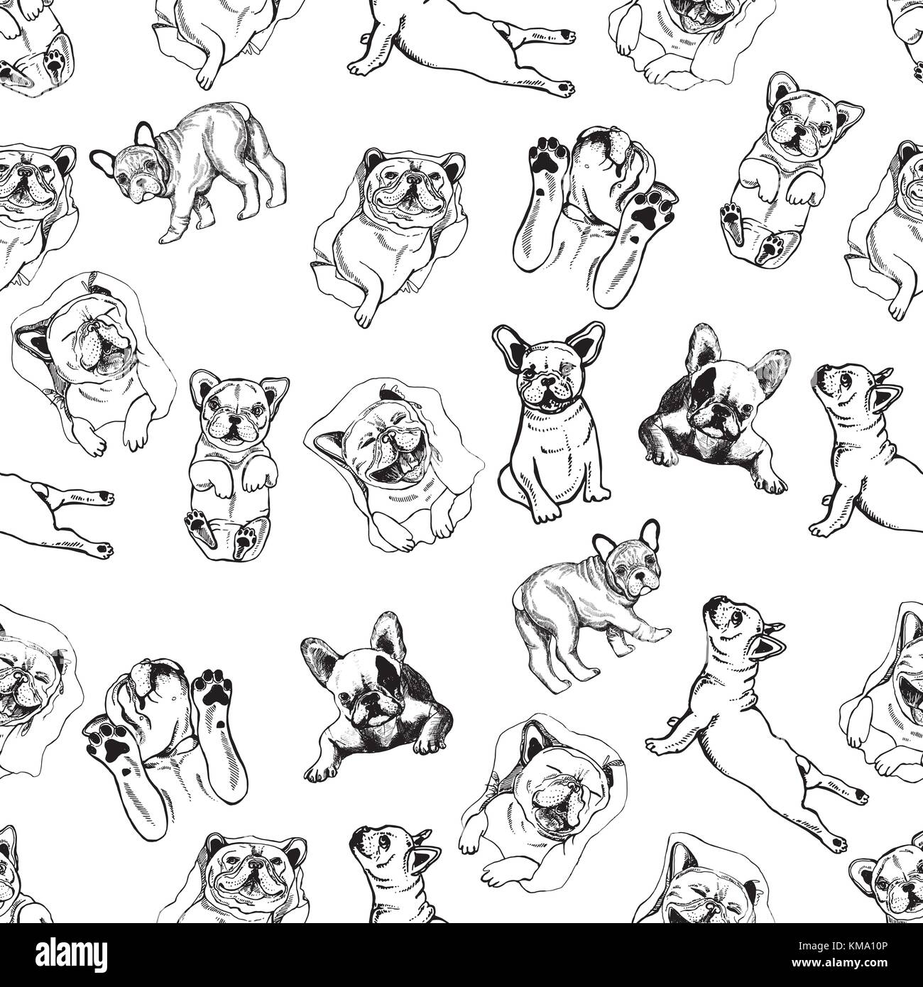 Nahtlose Muster von Hand gezeichnete Skizze stil Bulldoggen. Vector Illustration auf weißem Hintergrund. Stock Vektor